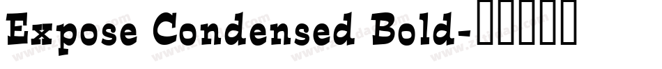 Expose Condensed Bold字体转换